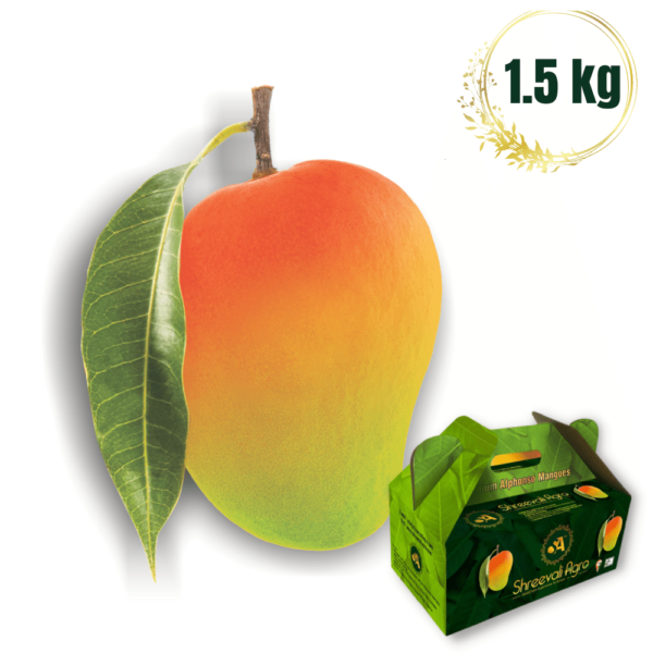 Premium Alhonso Mango Mango..uum Mangouum Mangoyum Shreevali Agro Devgad Ratnagiri