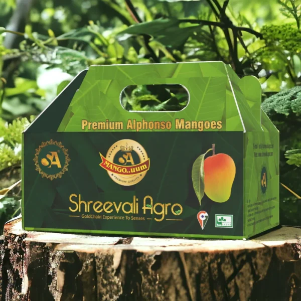 Premium Alphonso Mango Export from India