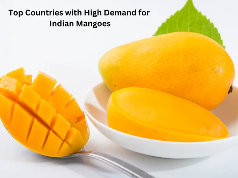 Top Countries with High Demand for Indian Mangoes