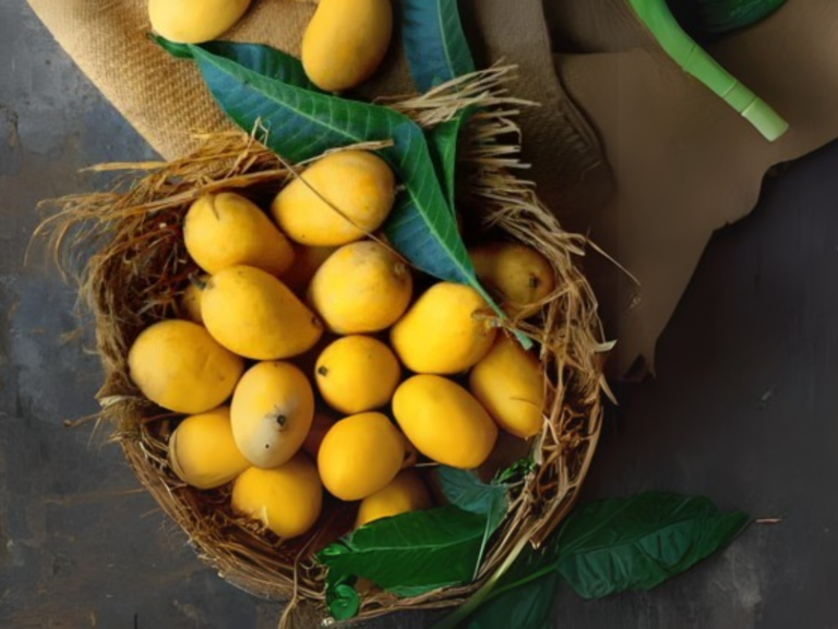 https://www.shreevaliagro.com/buying-mangoes-in-bulk-cost-benefit/