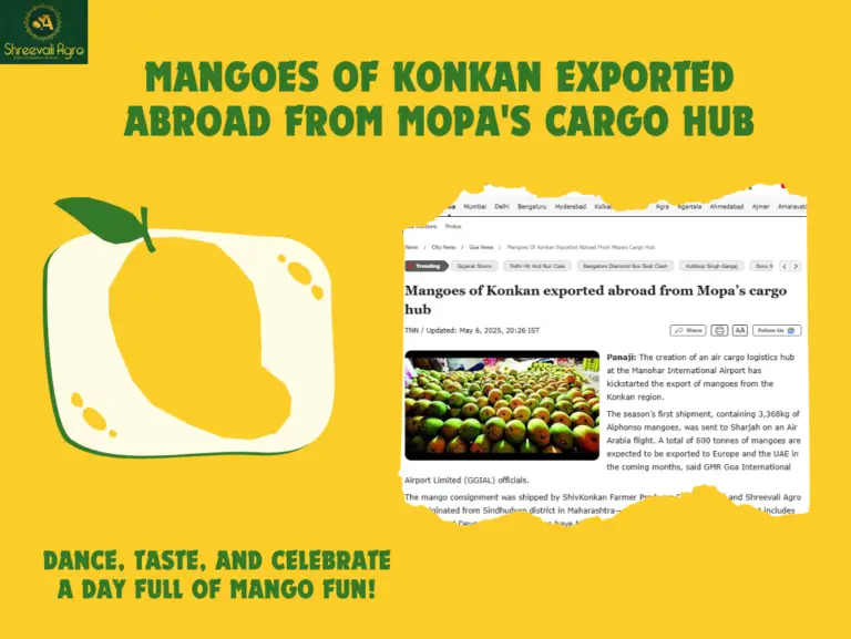 Mangoes of Konkan exported abroad from Mopa’s cargo hub – TOI News