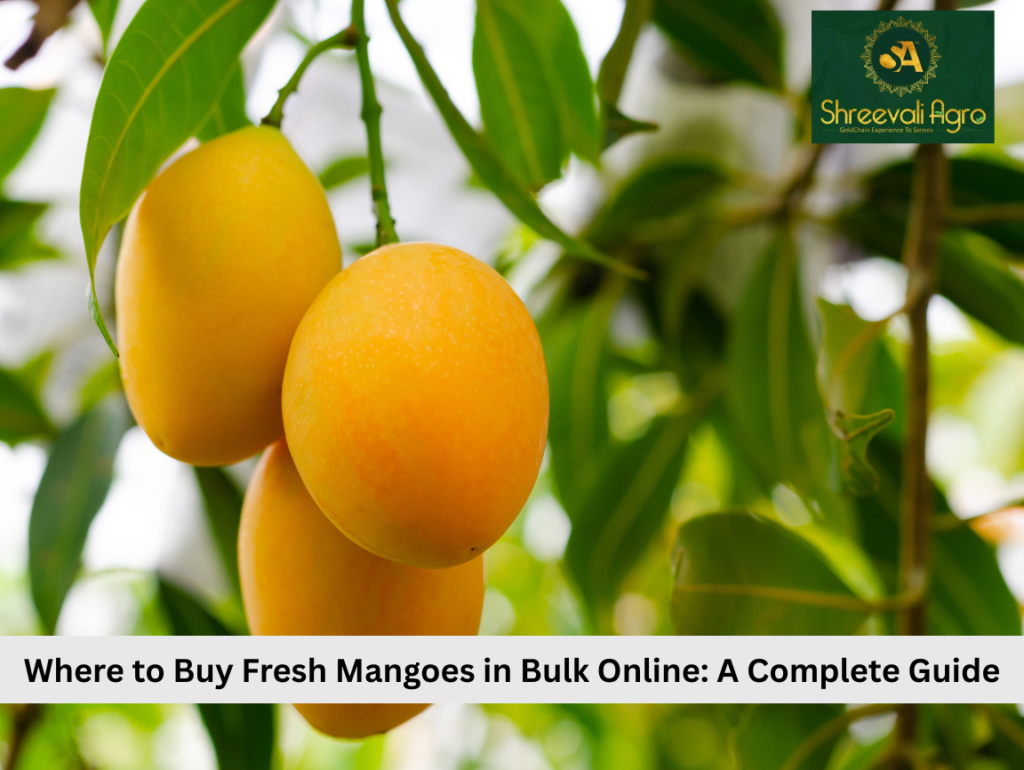 Where to Buy Fresh Mangoes in Bulk Online: A Complete Guide