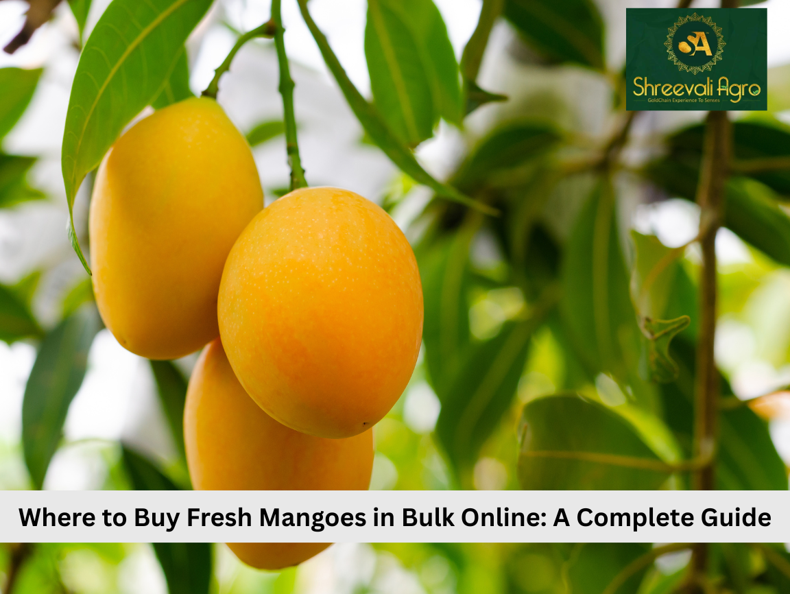 Where to Buy Fresh Mangoes in Bulk Online: A Complete Guide