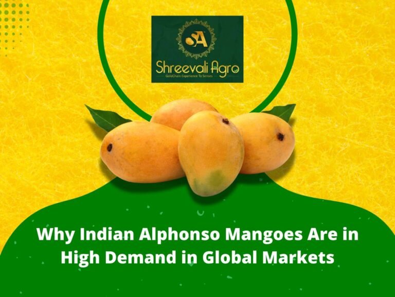Indian Alphonso Mangoes