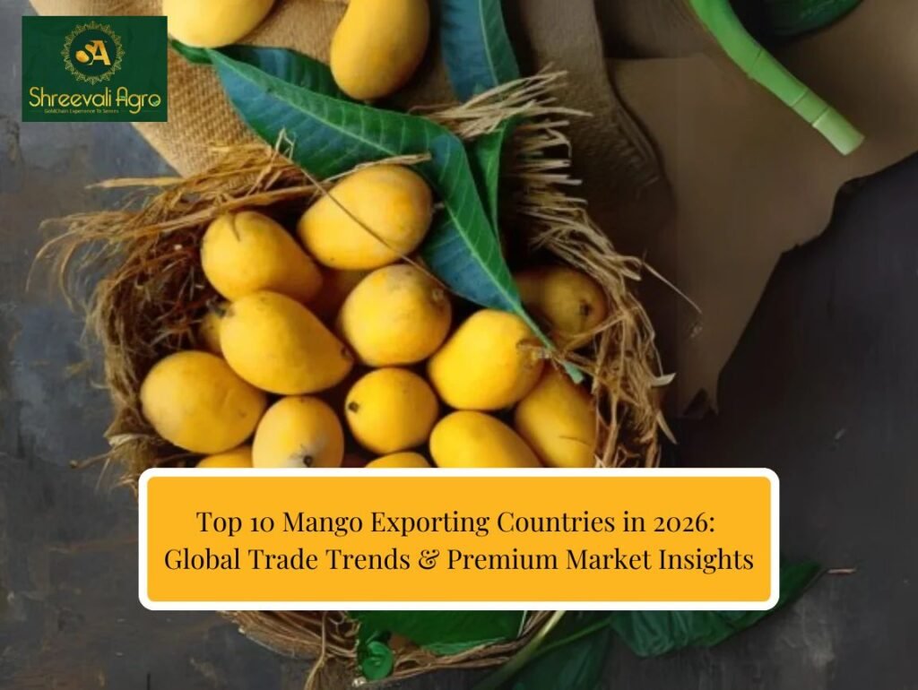 Top Mango Exporting Countries in 2026