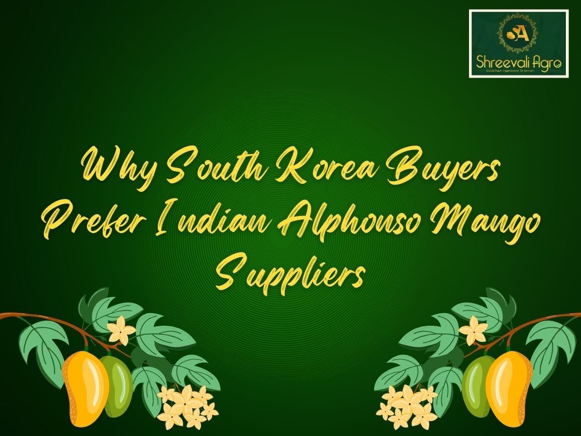 Indian Alphonso Mango Suppliers