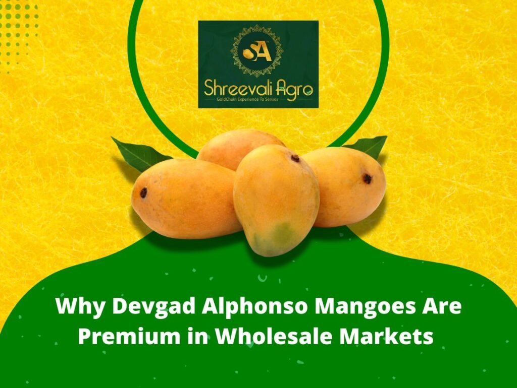 Devgad Alphonso Mangoes