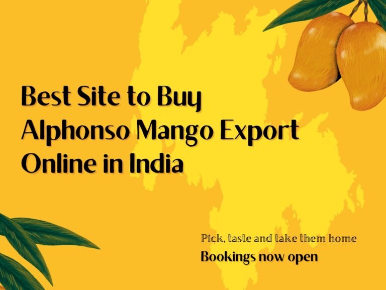 Best Site to Buy Alphonso Mango Export Online in India