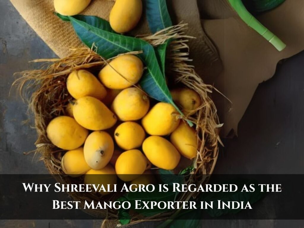 Mango Exporter
