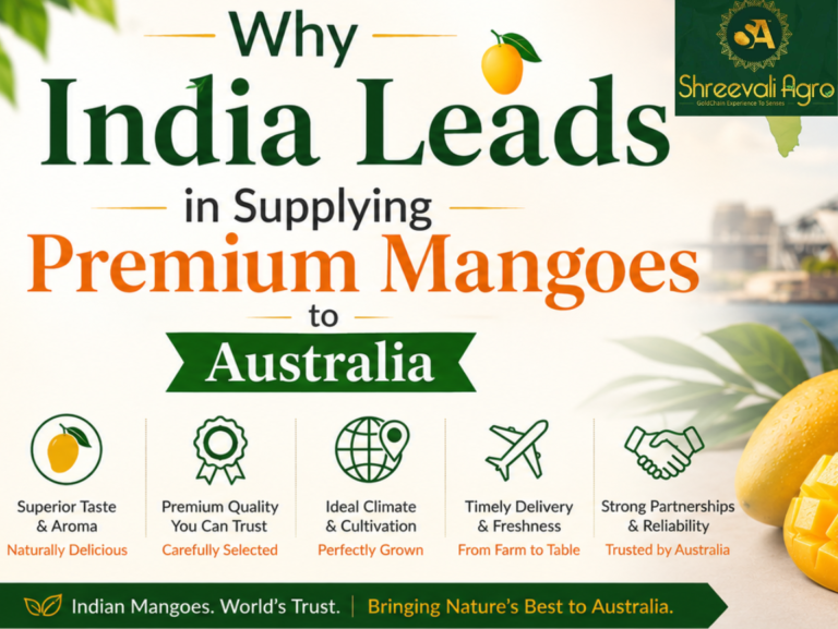 Why India Leads in Supplying Premium Mangoes to Australia